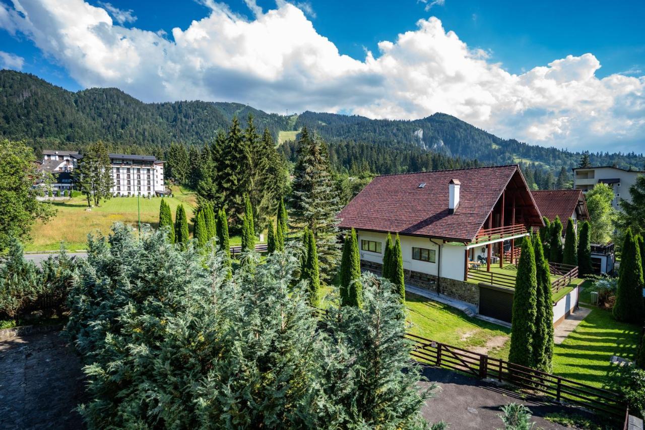 Pensiunea Sura Dacilor - Alex Poiana Braşov Exterior foto